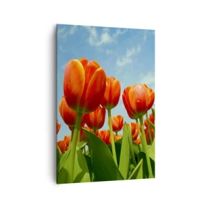 Cuadro sobre lienzo - Impresión de Imagen - Un campo de tulipanes rojos y naranjas contra un cielo azul. - 70x100cm - Excepto el cielo azul no necesitan nada en la vida - Decoración de pared moderna para salón y dormitorio ARTTOR