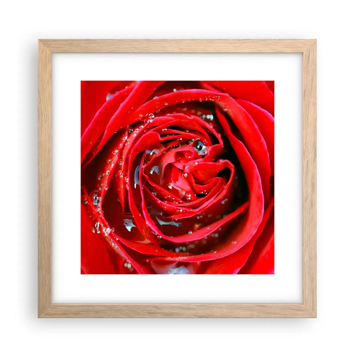 Póster en marco roble claro - En gotas de rocío - 30x30 cm