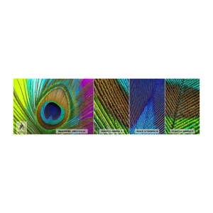 Muestra de fotomural Premium Canvas - Cara a cara - Abstracción, Pluma de pavo real, Pedazo - 100x30 cm