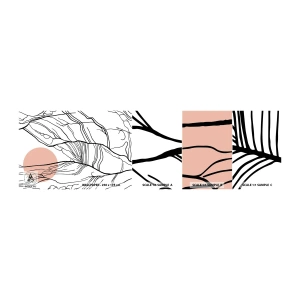 Muestra de fotomural autoadhesivo Deluxe Sticker - En una red de ramas - Abstracción, Gráficos, Diseño - 100x30 cm