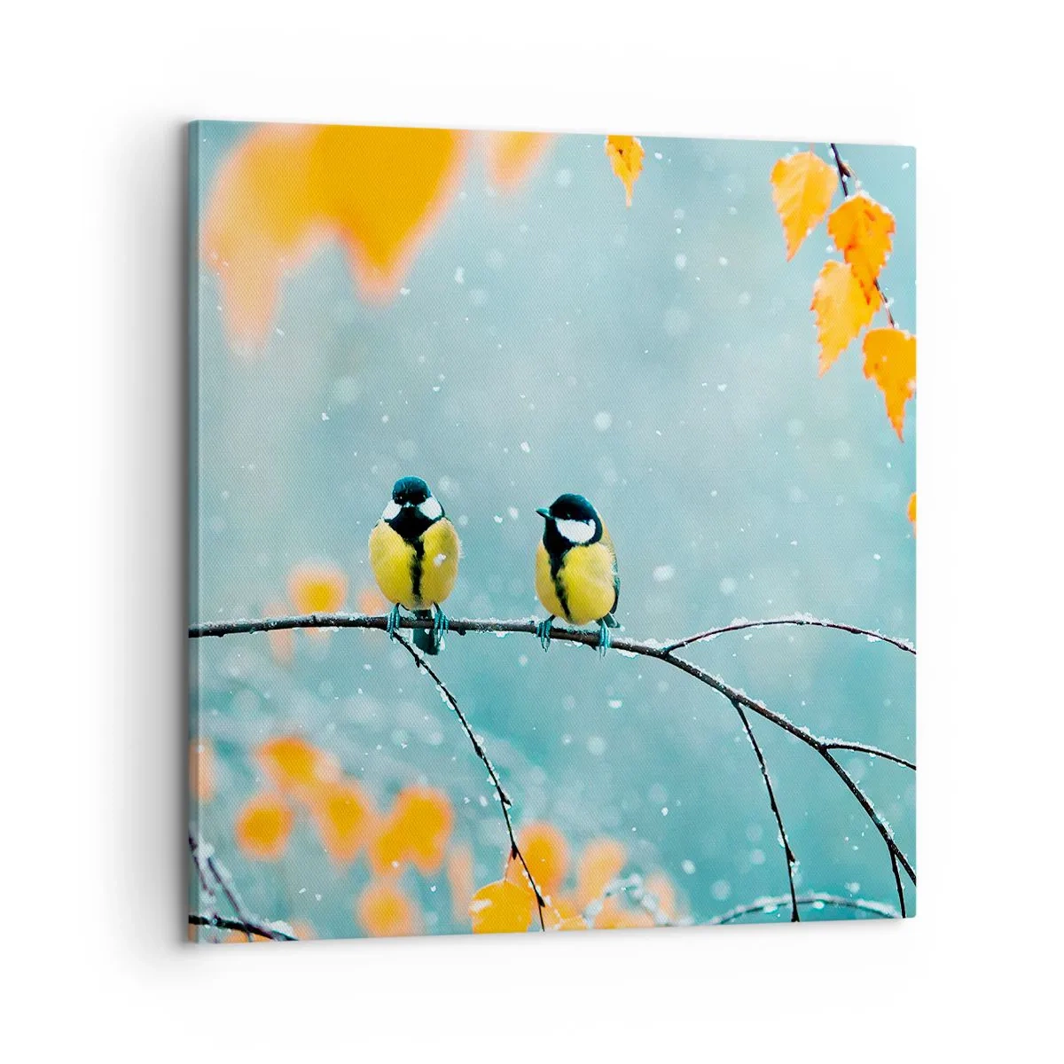 Cuadro sobre lienzo - Impresión de Imagen - Cotilleo de pájaros - 60x60 cm