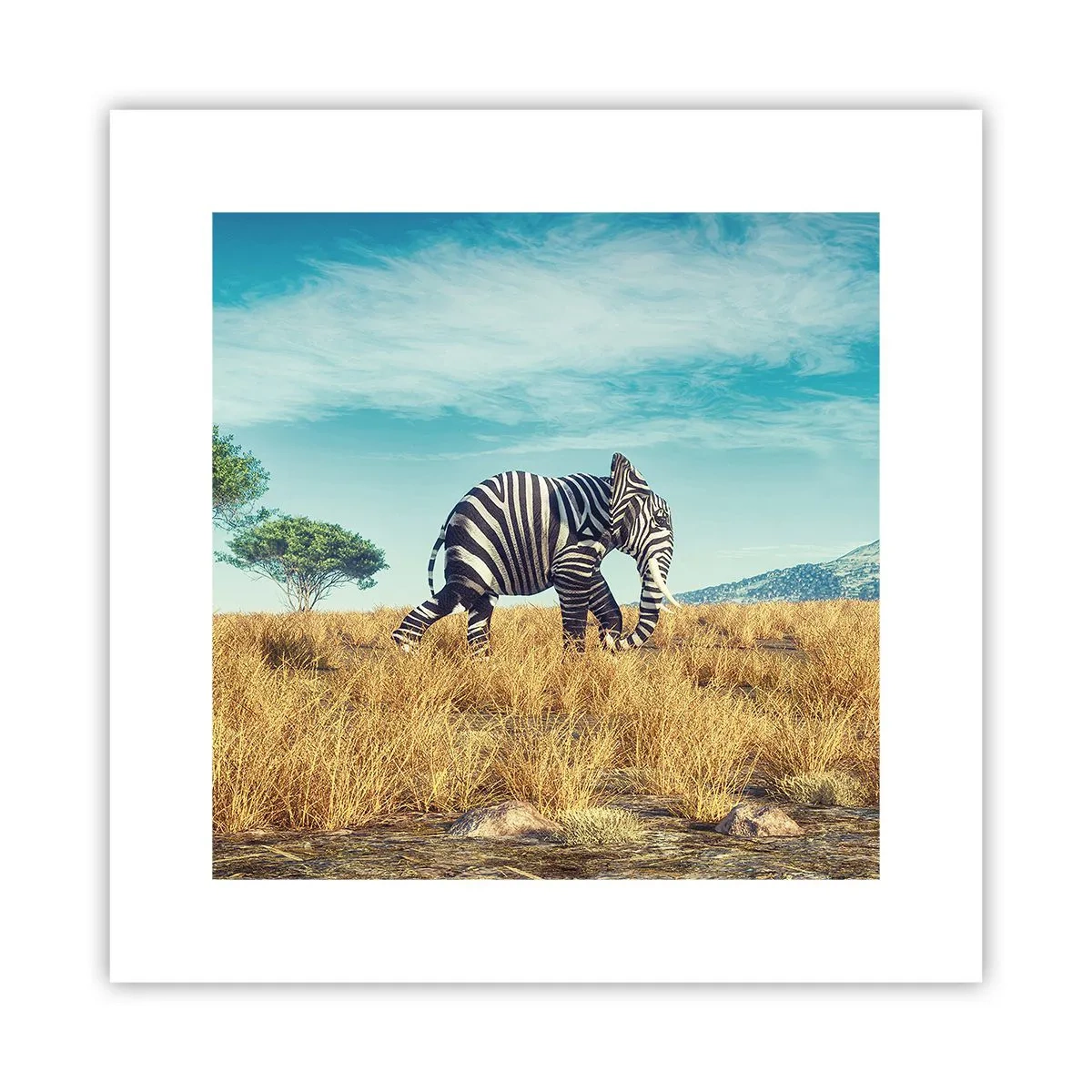 Póster - El gris ya no está de moda - 30x30 cm