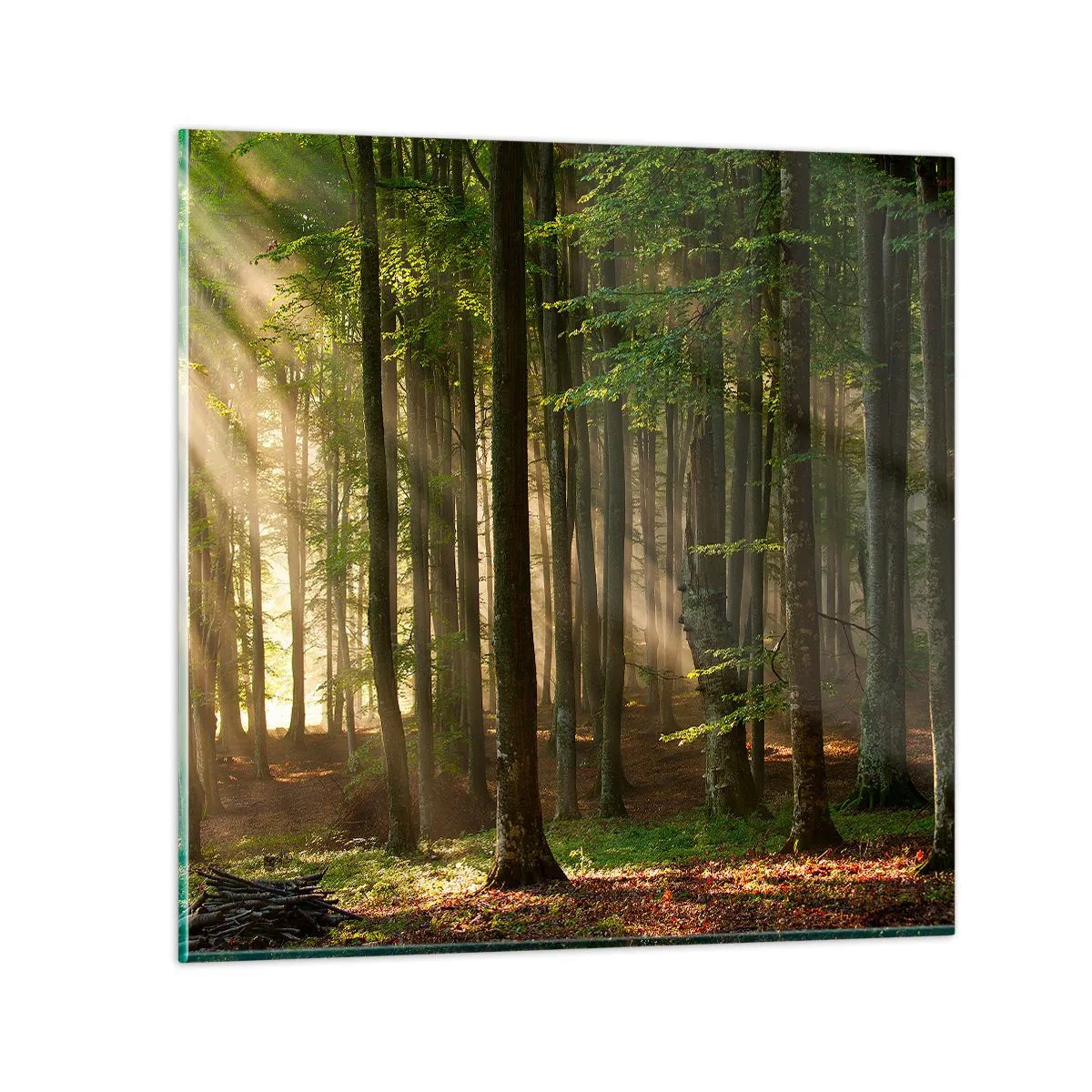 Cuadro sobre vidrio - Impresiones sobre Vidrio - Radiante en una mañana de primavera - 60x60 cm