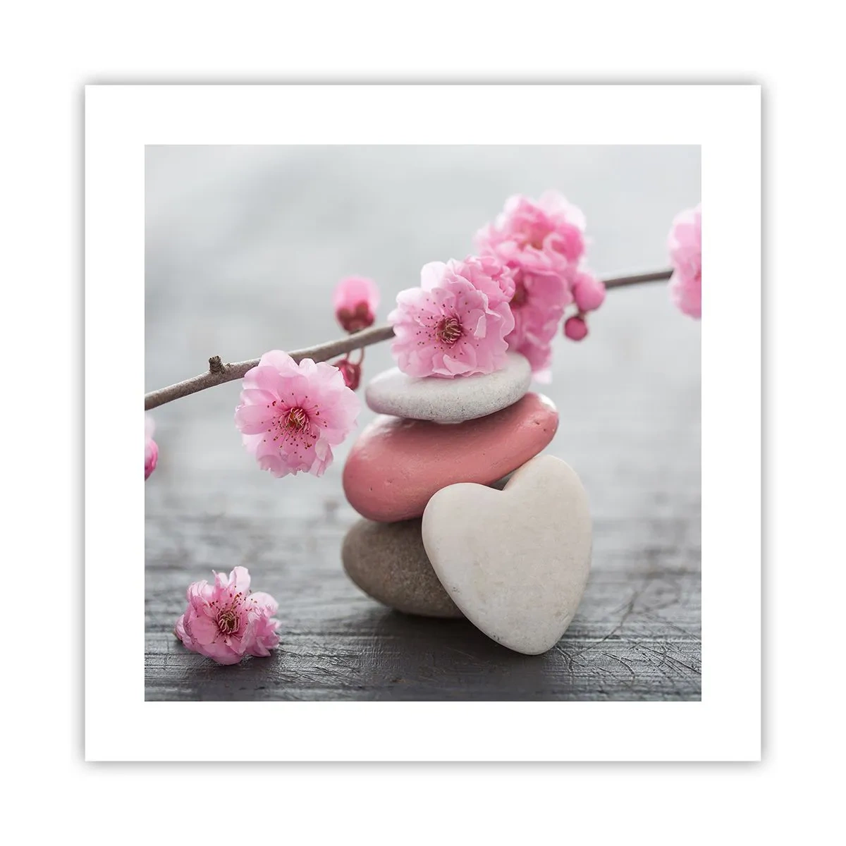 Póster - Felicidad con la flor del cerezo - 40x40 cm