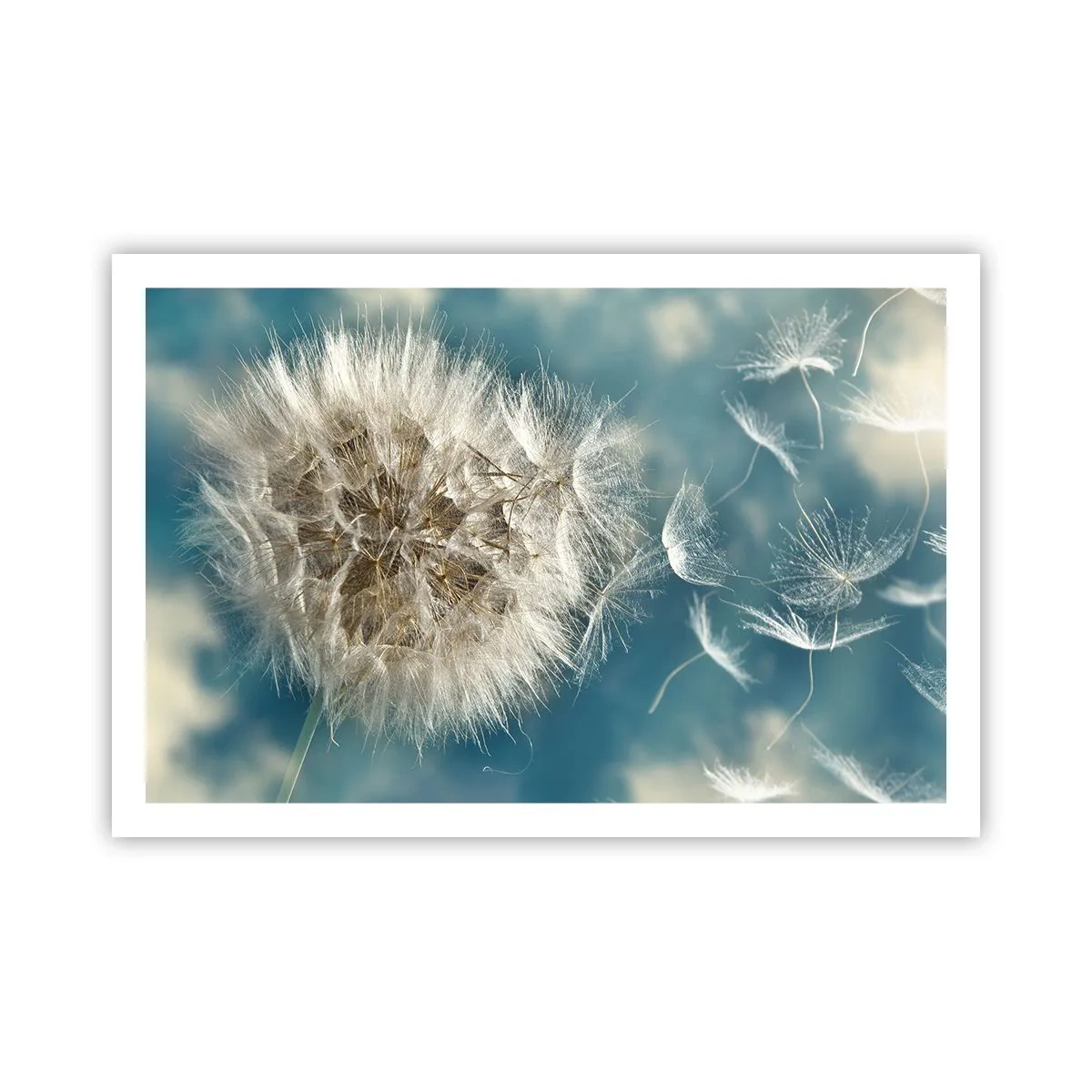 Póster - El aliento de un ángel - 91x61 cm