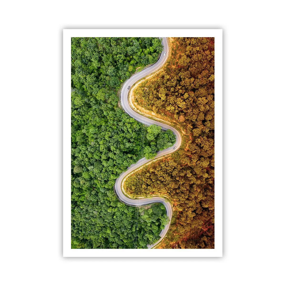 Póster - Frontera serpenteante - 70x100 cm