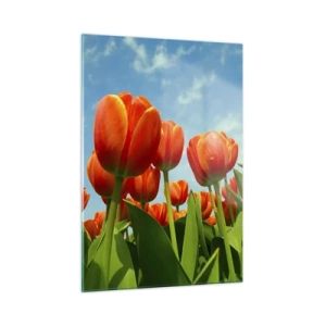 Cuadro sobre vidrio - Impresiones sobre Vidrio - Un campo de tulipanes rojos bajo un cielo azul. - 50x70cm - Excepto el cielo azul no necesitan nada en la vida - Decoración de pared moderna para salón y dormitorio ARTTOR