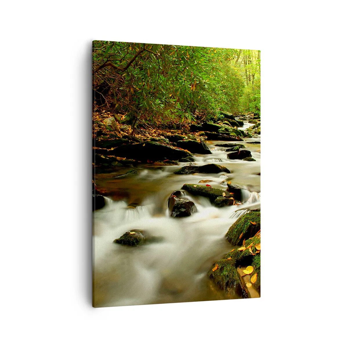 Cuadro sobre lienzo - Impresión de Imagen - Un arroyo forestal que fluye entre piedras rodeadas de vegetación. - 50x70cm - Como plata líquida - Decoración de pared moderna para salón y dormitorio ARTTOR