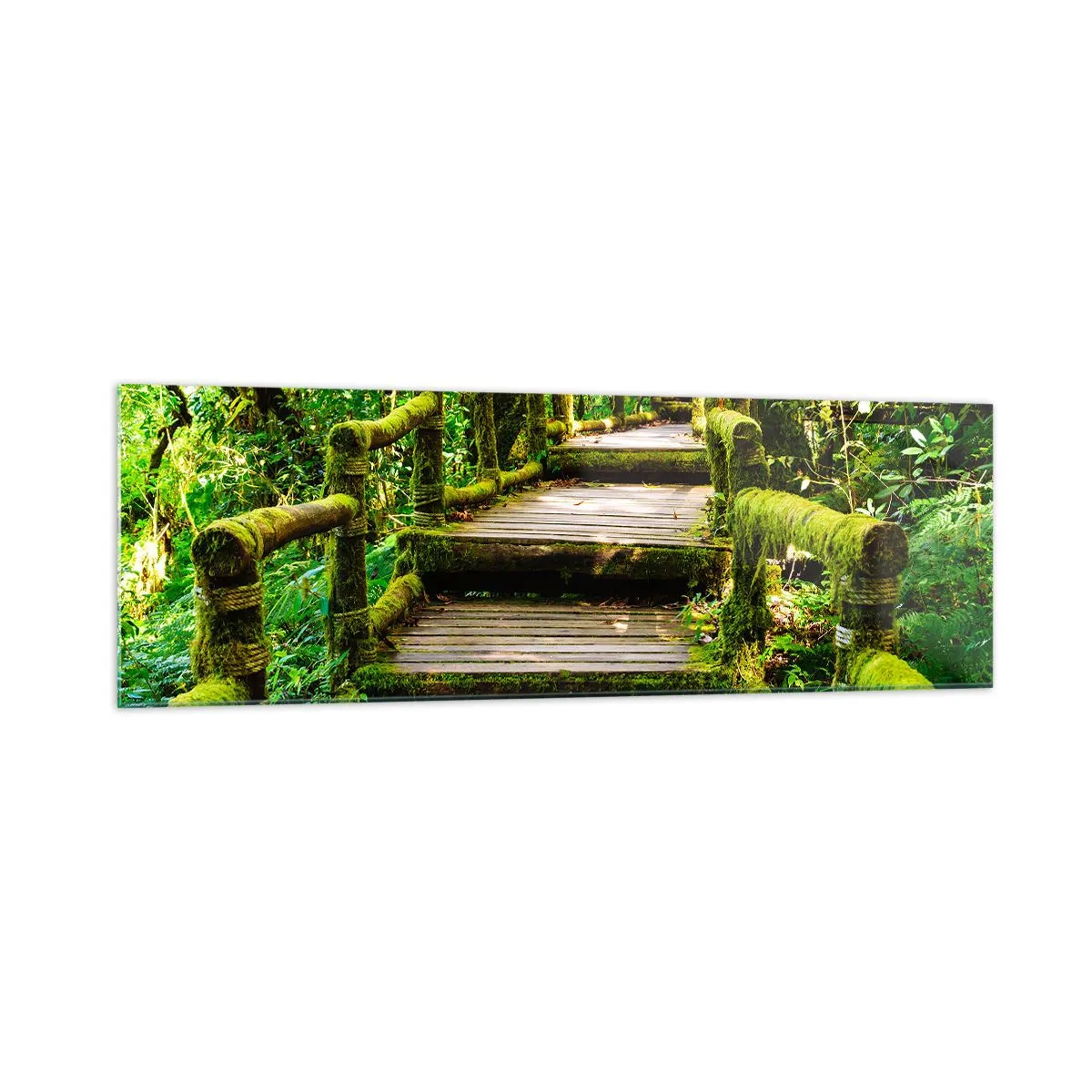 Cuadro sobre vidrio - Impresiones sobre Vidrio - Un puente de madera cubierto de musgo en una selva tropical. - 160x50cm - A través de un corredor verde - Decoración de pared moderna para salón y dormitorio ARTTOR