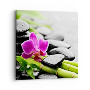 Cuadro sobre lienzo - Impresión de Imagen - En equilibrio pacífico - 30x30 cm