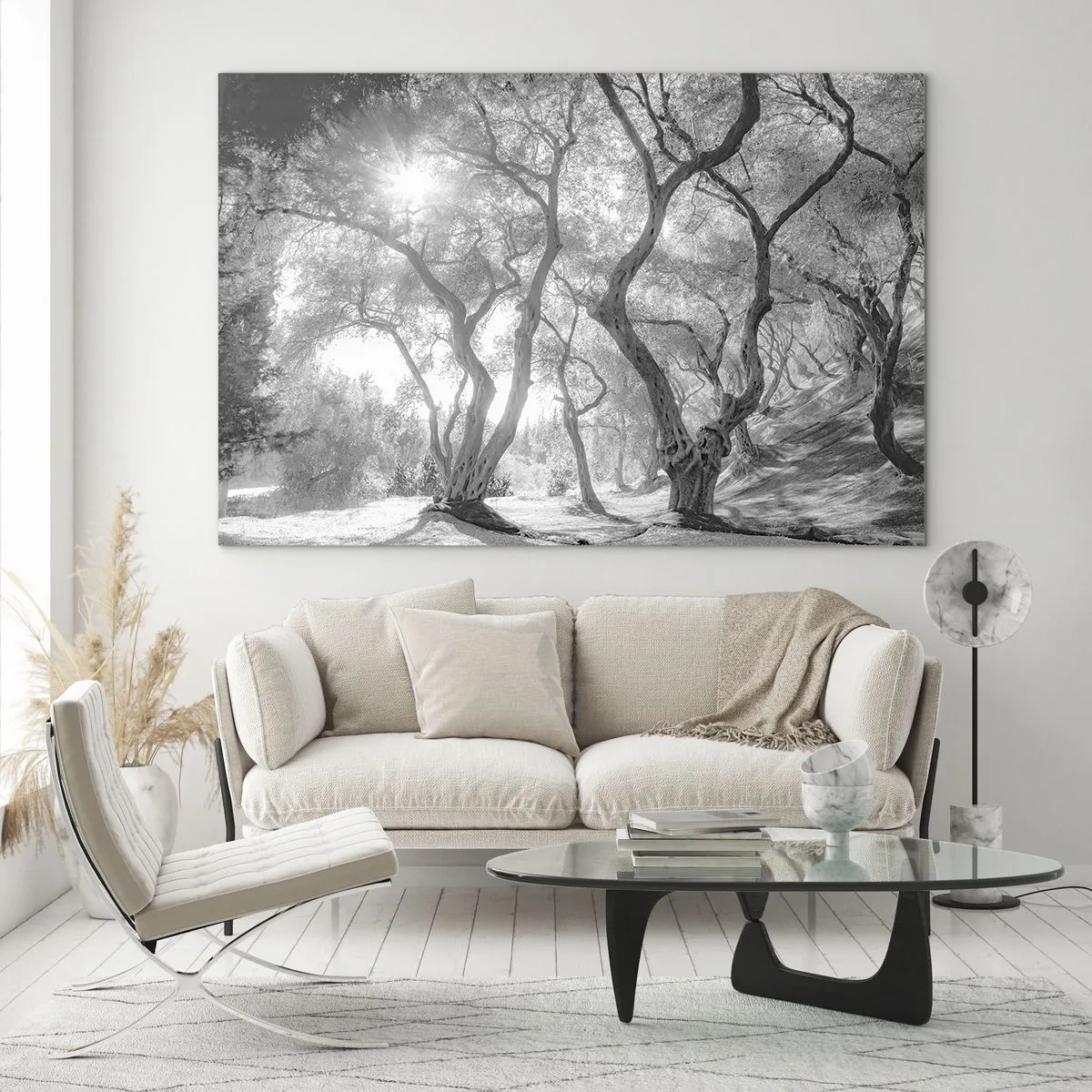 Cuadro sobre vidrio - Impresiones sobre Vidrio - Olivos blancos y negros a la luz del sol - 70x50cm - En un olivar - Decoración de pared moderna para salón y dormitorio ARTTOR