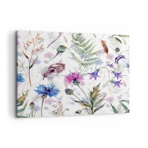 Cuadro sobre lienzo - Impresión de Imagen - Flores y hierbas de acuarela sobre un fondo blanco en estilo herbario. - 100x70cm - Herbario polaco - Decoración de pared moderna para salón y dormitorio ARTTOR