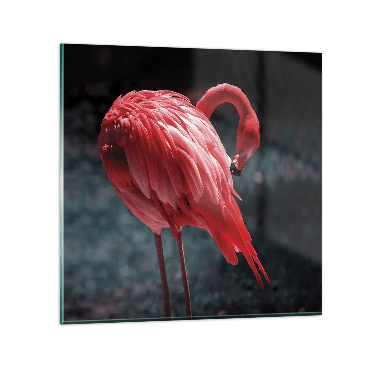Cuadro sobre vidrio - Impresiones sobre Vidrio - Un poema carmesí de la naturaleza - 50x50 cm
