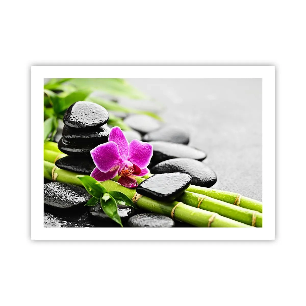 Póster - En equilibrio pacífico - 70x50 cm