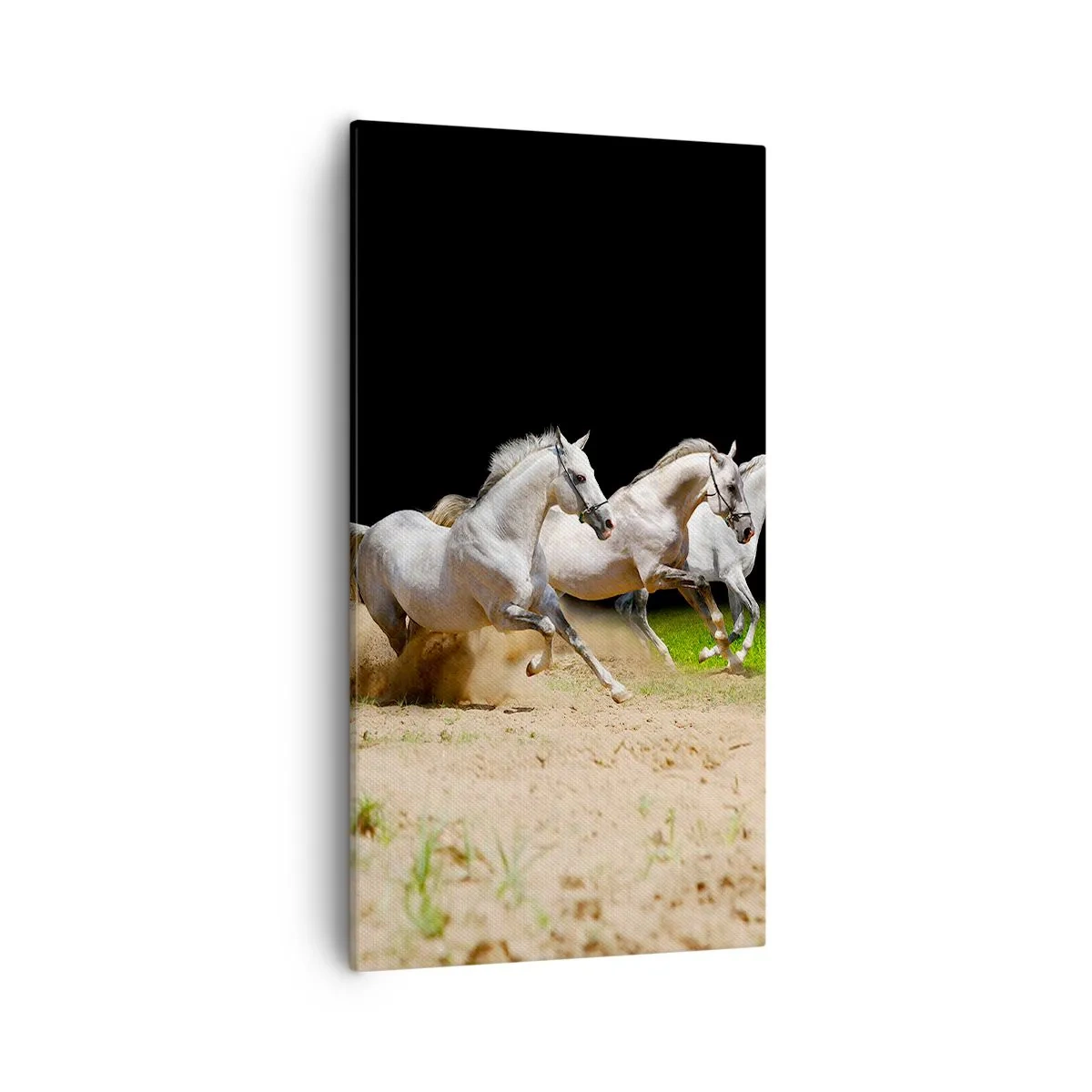 Cuadro sobre lienzo - Impresión de Imagen - Las tres Gracias - 55x100 cm