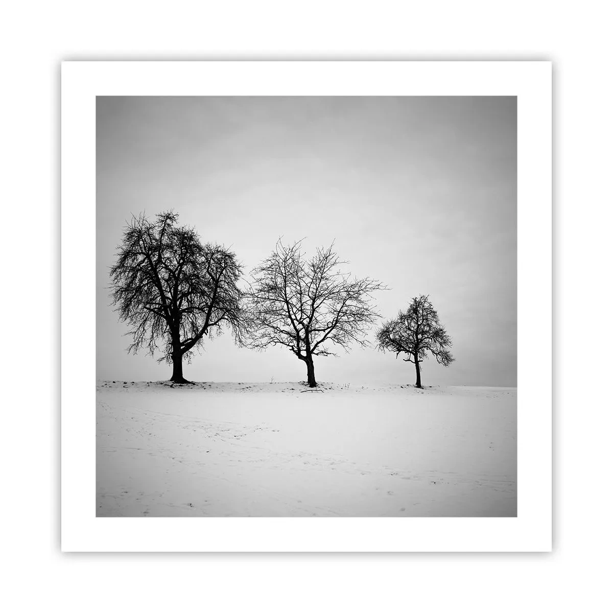 Póster - ¿Con qué sueñan? - 50x50 cm