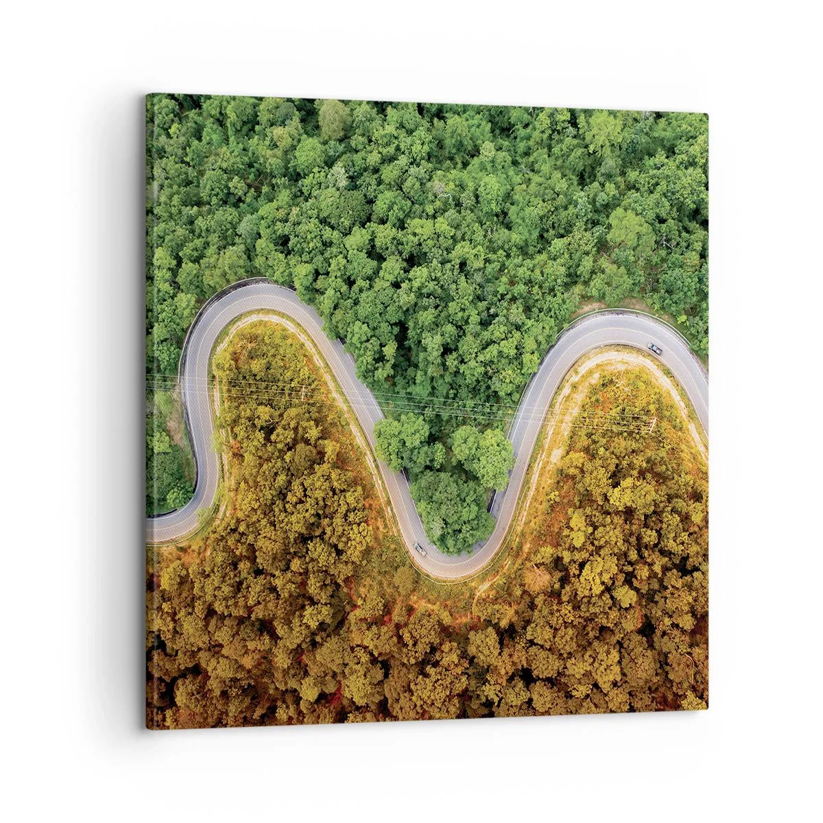 Cuadro sobre lienzo - Impresión de Imagen - Frontera serpenteante - 60x60 cm