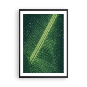Póster en marco negro - Primer plano de una hoja verde con gotas de agua. - 50x70cm - Estructura del verde - Decoración de pared moderna para salón y dormitorio ARTTOR