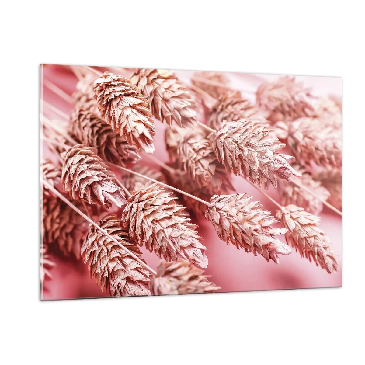 Cuadro sobre vidrio - Impresiones sobre Vidrio - Mazorcas de maíz secas en tonos rosa sobre un fondo pastel. - 120x80cm - Estructura floral en rosa - Decoración de pared moderna para salón y dormitorio ARTTOR