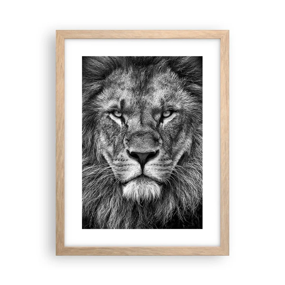 Póster en marco roble claro - Con el atuendo de la coronación - 30x40 cm