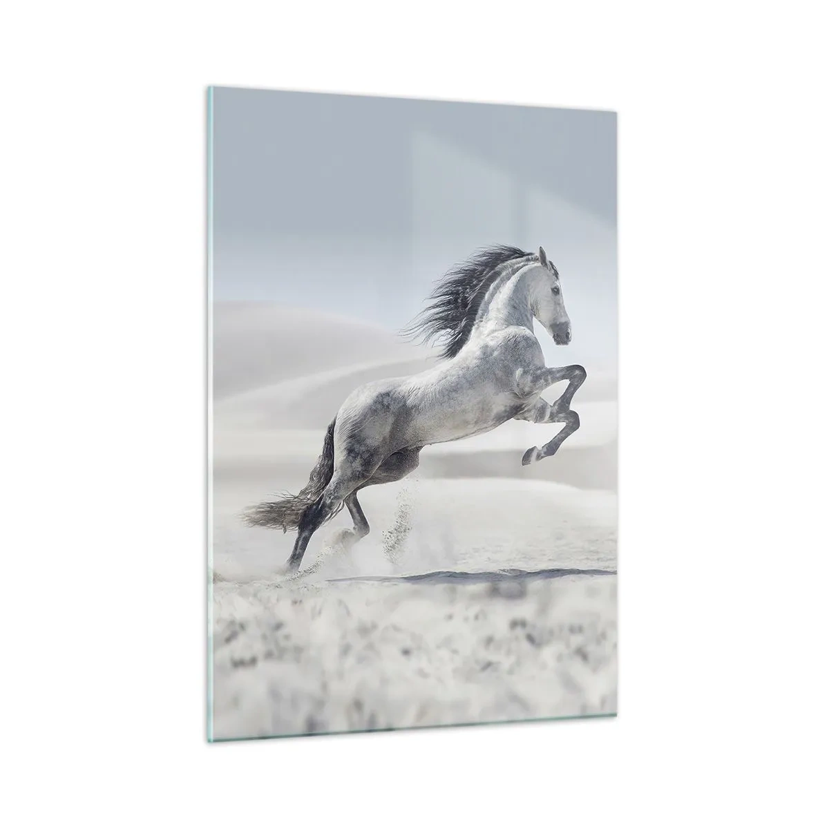 Cuadro sobre vidrio - Impresiones sobre Vidrio - Un caballo blanco saltando con el telón de fondo de las dunas del desierto. - 50x70cm - Un príncipe árabe - Decoración de pared moderna para salón y dormitorio ARTTOR