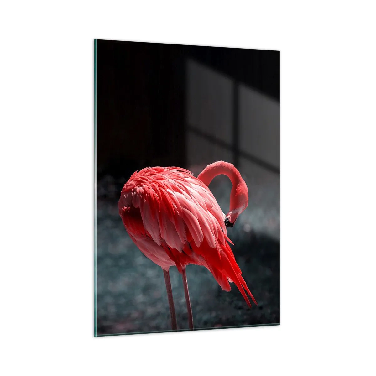 Cuadro sobre vidrio - Impresiones sobre Vidrio - Un flamenco en intensos tonos rojos sobre un fondo oscuro. - 50x70cm - Un poema carmesí de la naturaleza - Decoración de pared moderna para salón y dormitorio ARTTOR