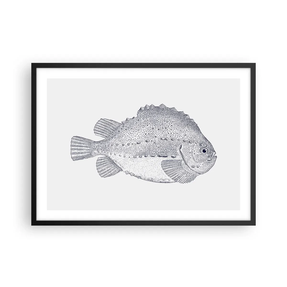 Póster en marco negro - Dibujo en blanco y negro de un pez sobre un fondo blanco en estilo minimalista. - 70x50cm - Para el álbum del naturalista - Decoración de pared moderna para salón y dormitorio ARTTOR