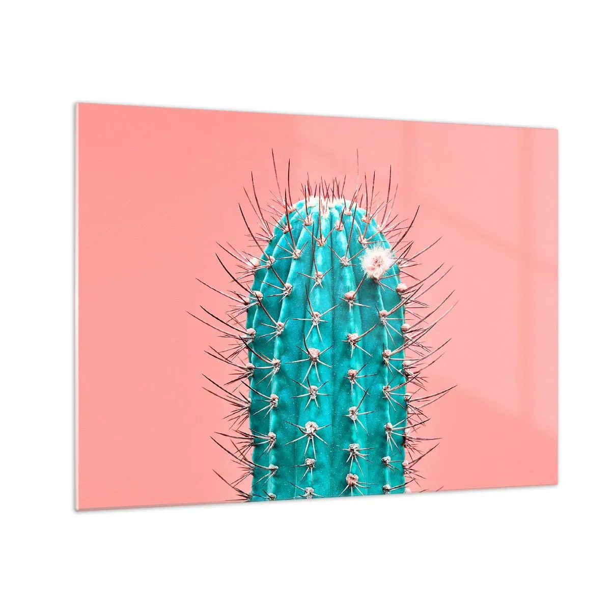 Cuadro sobre vidrio - Impresiones sobre Vidrio - Cactus verde con espinas sobre un fondo rosa - 70x50cm - Se mira, pero no se toca - Decoración de pared moderna para salón y dormitorio ARTTOR