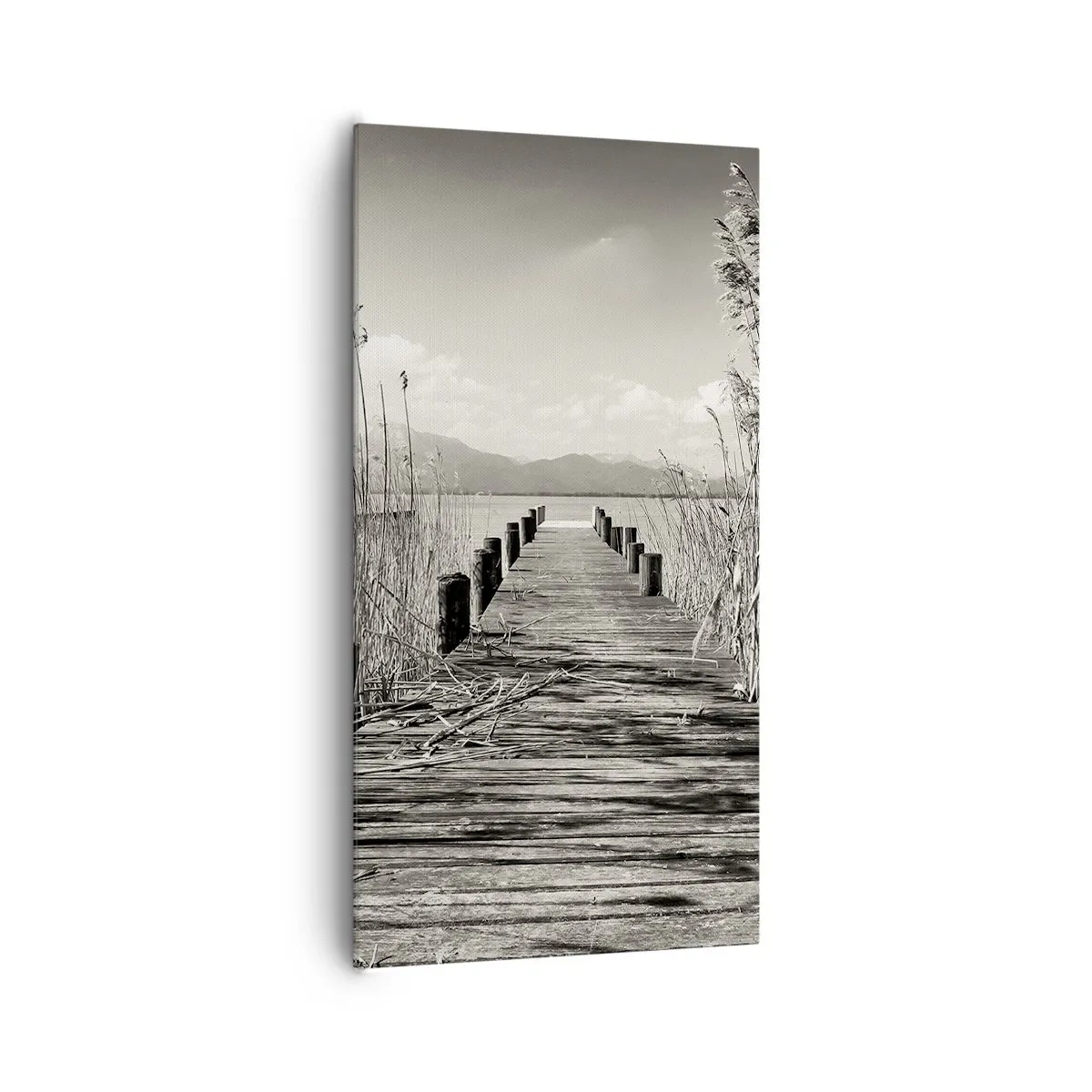 Cuadro sobre lienzo - Impresión de Imagen - En la quietud de los juncos - 65x120 cm