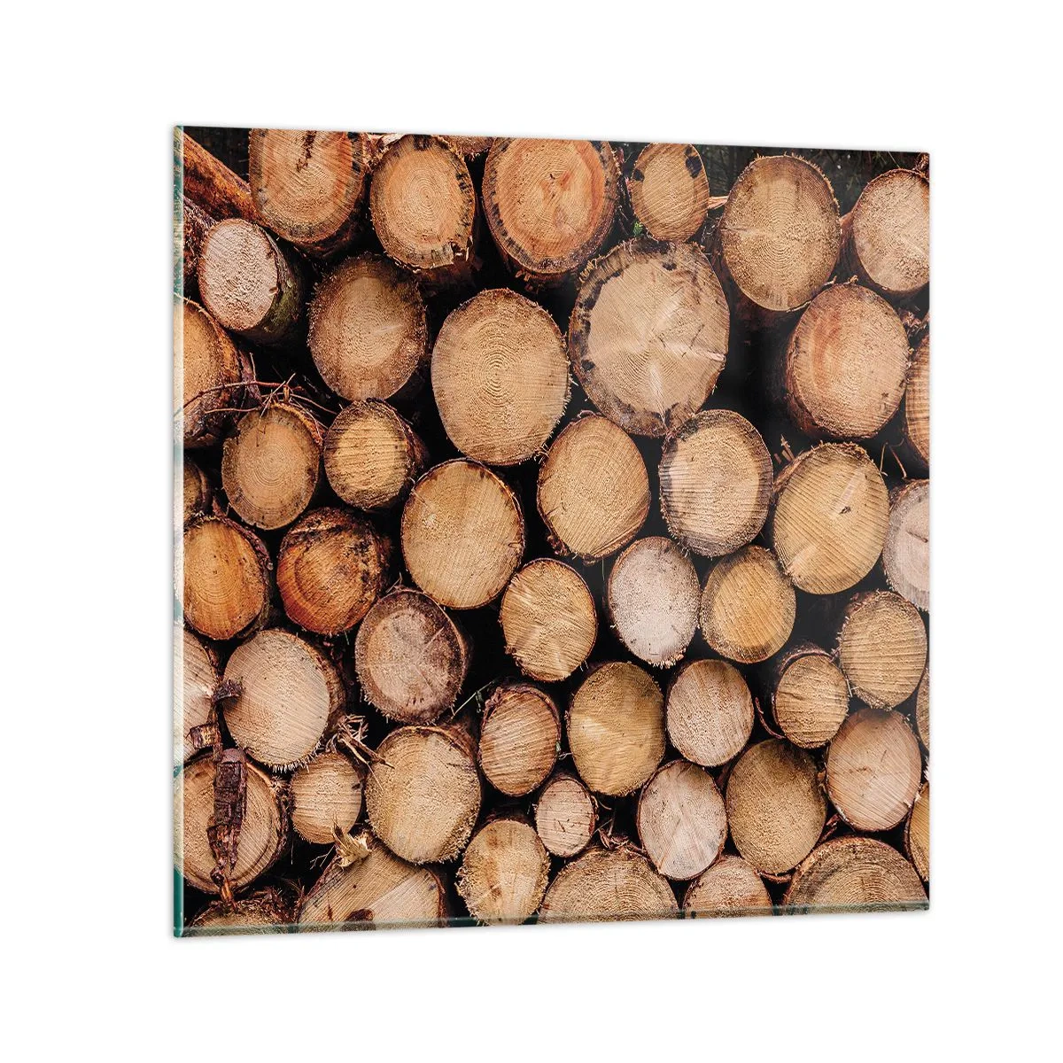 Cuadro sobre vidrio - Impresiones sobre Vidrio - Un nuevo comienzo - 30x30 cm