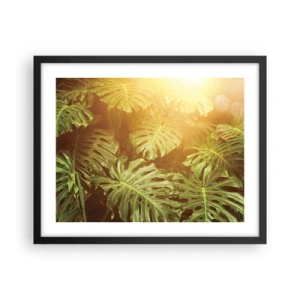 Póster en marco negro - Hacia el verdor... - 50x40 cm