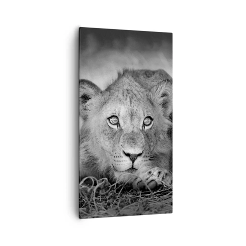 Cuadro sobre lienzo - Impresión de Imagen - Un cachorro real - 55x100 cm