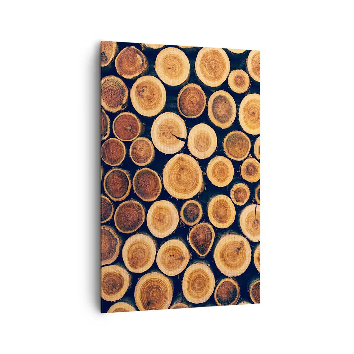 Cuadro sobre lienzo - Impresión de Imagen - Patrón elaborado a partir de secciones transversales de troncos de madera. - 80x120cm - ¿Qué edad tengo? - Decoración de pared moderna para salón y dormitorio ARTTOR