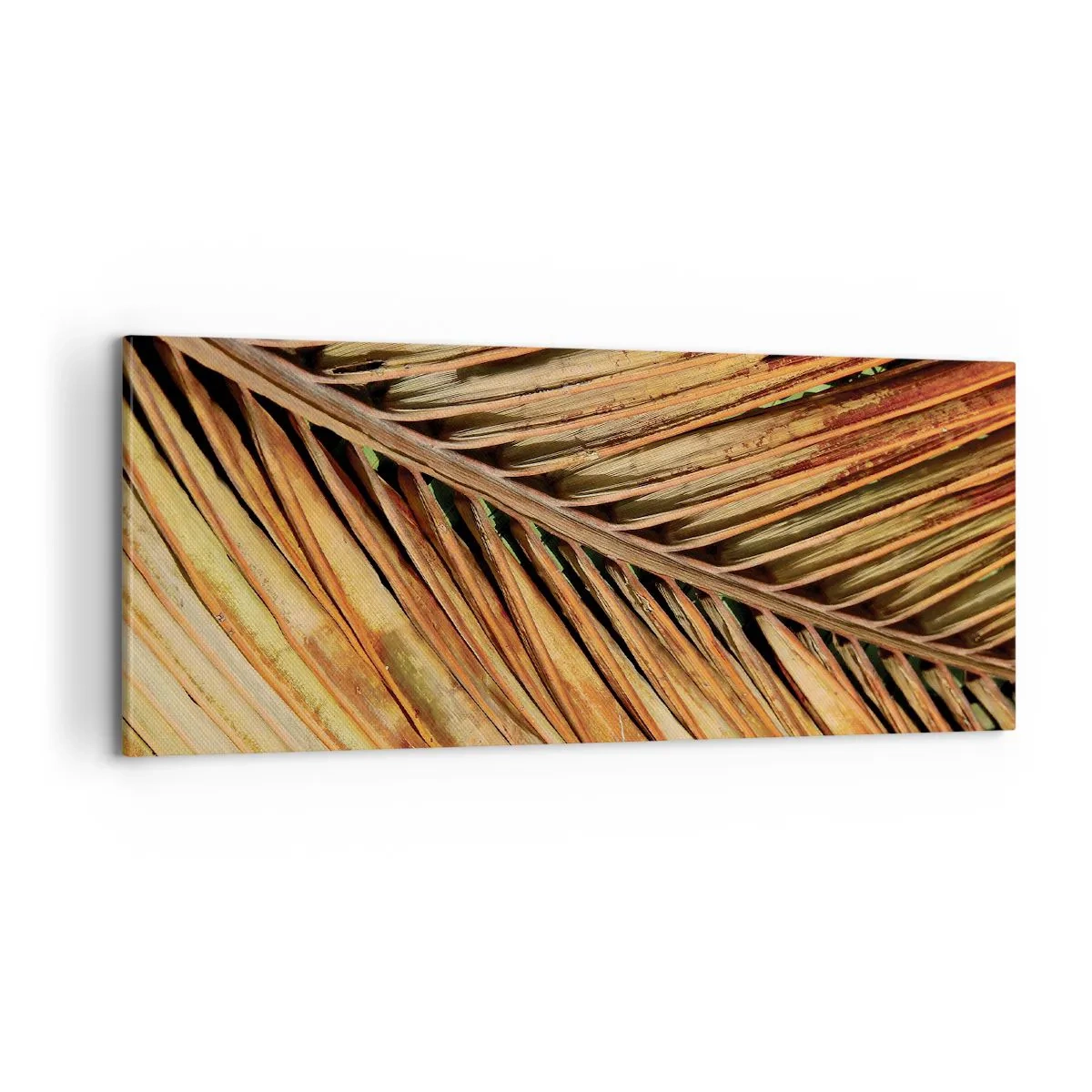 Cuadro sobre lienzo - Impresión de Imagen - Oro de coco - 100x40 cm