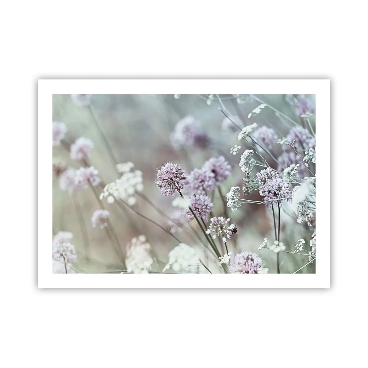 Póster - Dulces filigranas de hierbas - 70x50 cm