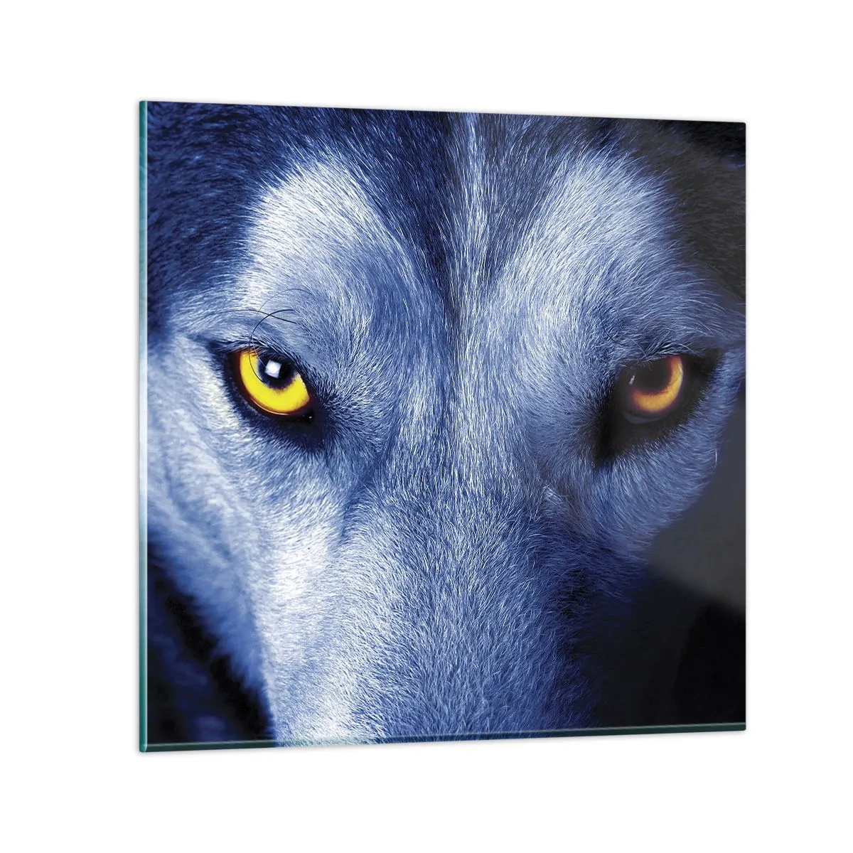 Cuadro sobre vidrio - Impresiones sobre Vidrio - La mirada hipnótica - 30x30 cm