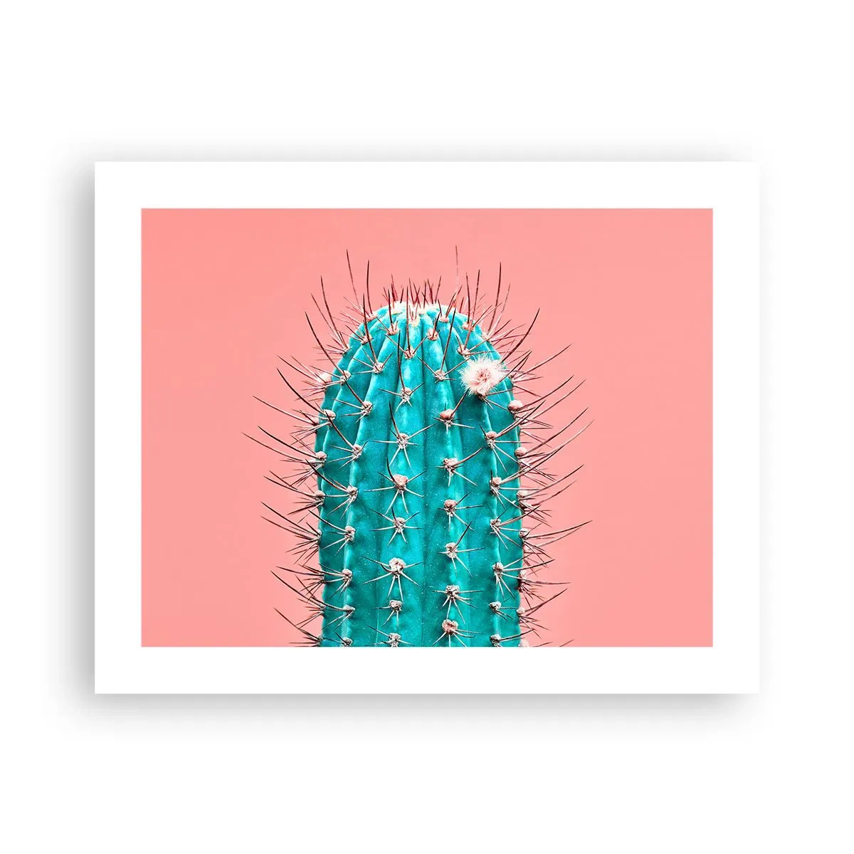 Póster - Se mira, pero no se toca - 50x40 cm