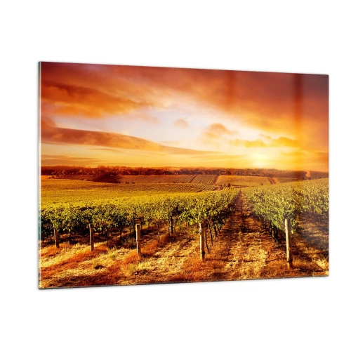 Cuadro sobre vidrio - Impresiones sobre Vidrio - Vides en un campo al atardecer - 120x80cm - Delicadamente afrutado con un toque de sol - Decoración de pared moderna para salón y dormitorio ARTTOR