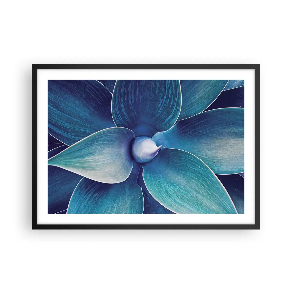 Póster en marco negro - Primer plano de una flor abstracta en tonos azules. - 70x50cm - Azul del cielo - Decoración de pared moderna para salón y dormitorio ARTTOR