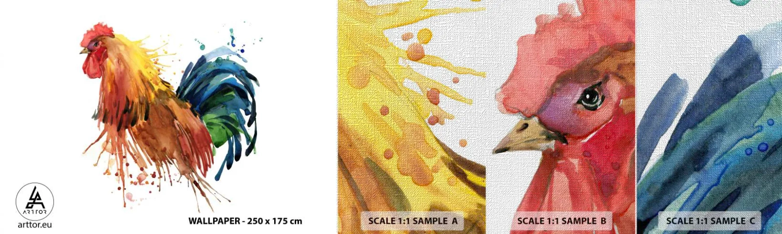 Muestra de fotomural Premium Canvas - Un manto real, un orgullo real - Polla, Gráficos, Cría - 100x30 cm