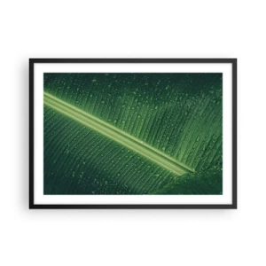 Póster en marco negro - Una hoja verde con gotas de agua en su superficie. - 70x50cm - Estructura del verde - Decoración de pared moderna para salón y dormitorio ARTTOR