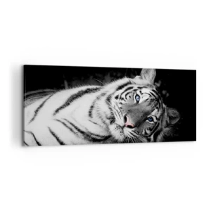 Cuadro sobre lienzo - Impresión de Imagen - Un tigre blanco representado artísticamente sobre un fondo negro. - 120x50cm - Salvaje y tranquilo - Decoración de pared moderna para salón y dormitorio ARTTOR