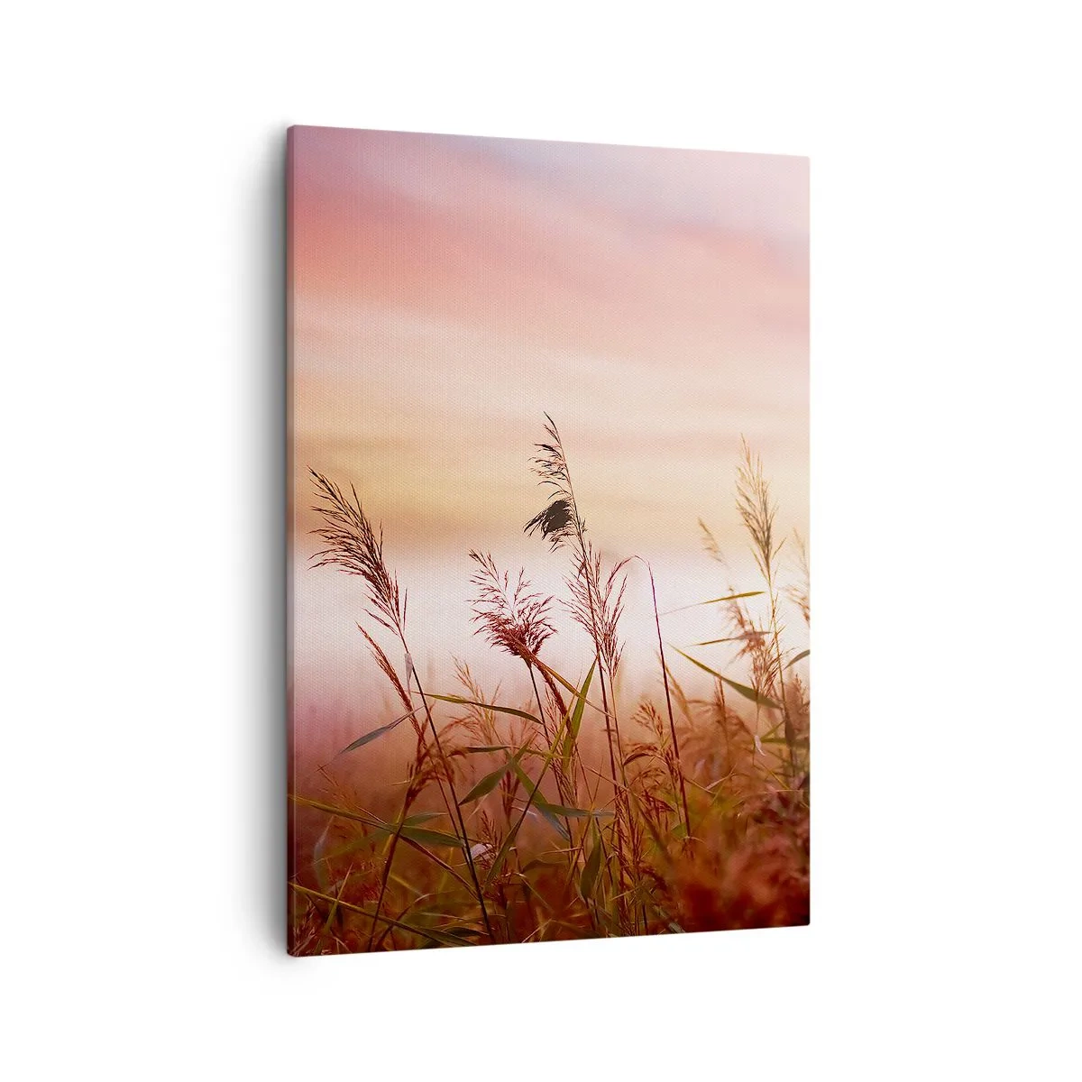 Cuadro sobre lienzo - Impresión de Imagen - Un campo de hierba con el telón de fondo de una pintoresca puesta de sol. - 50x70cm - El arte del viento - Decoración de pared moderna para salón y dormitorio ARTTOR