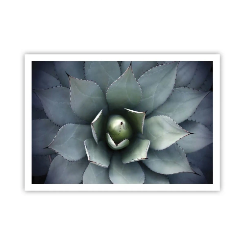 Póster - Primer plano de una roseta de agave en delicados tonos verdes. - 100x70cm - Perfección natural - Decoración de pared moderna para salón y dormitorio ARTTOR