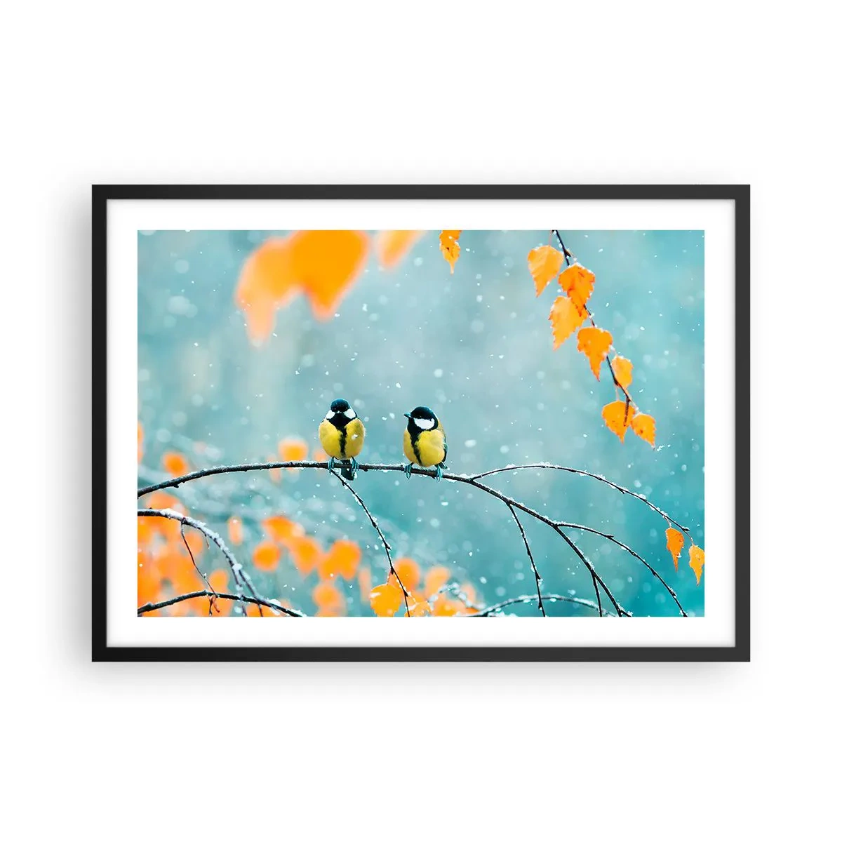 Póster en marco negro - Dos pájaros en una rama en un entorno invernal con hojas amarillas. - 70x50cm - Cotilleo de pájaros - Decoración de pared moderna para salón y dormitorio ARTTOR