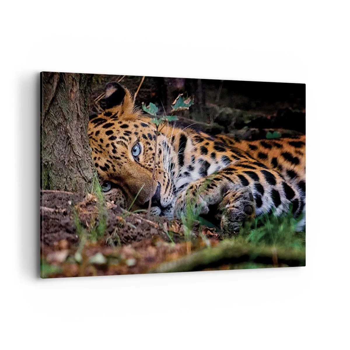 Cuadro sobre lienzo - Impresión de Imagen - Un leopardo tumbado a la sombra de los árboles. - 120x80cm - Confía en mí - Decoración de pared moderna para salón y dormitorio ARTTOR