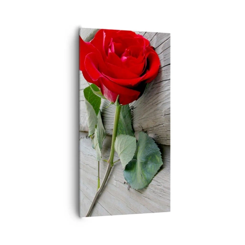 Cuadro sobre lienzo - Impresión de Imagen - Estudio en escarlata - 65x120 cm