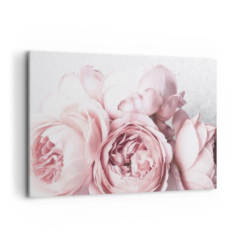 Cuadro sobre lienzo - Impresión de Imagen - Peonías rosas en una luz suave sobre un fondo claro. - 120x80cm - Para los románticos - Decoración de pared moderna para salón y dormitorio ARTTOR
