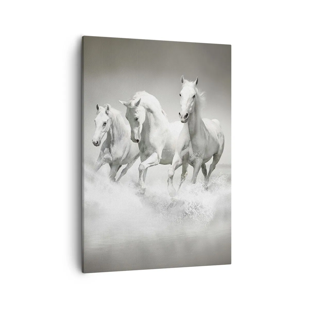 Cuadro sobre lienzo - Impresión de Imagen - Tres caballos blancos galopando por el agua - 50x70cm - Locura blanca - Decoración de pared moderna para salón y dormitorio ARTTOR