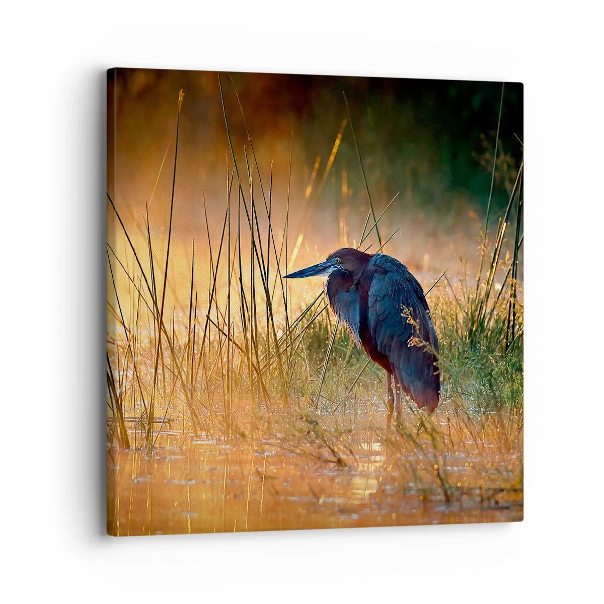 Cuadro sobre lienzo - Impresión de Imagen - Dame un respiro con estas fotos - 30x30 cm